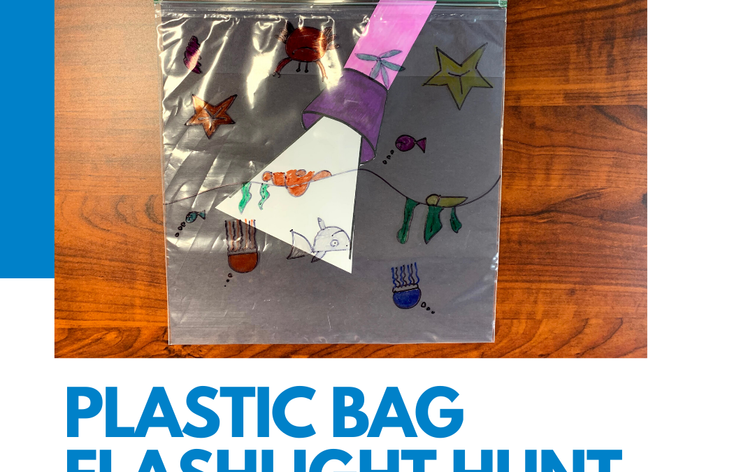 Plastic Bag Flashlight Hunt