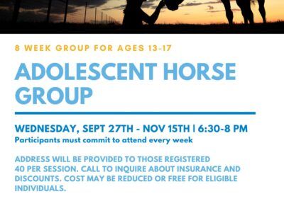 Adolescent Horse Group (Ages 13-17)