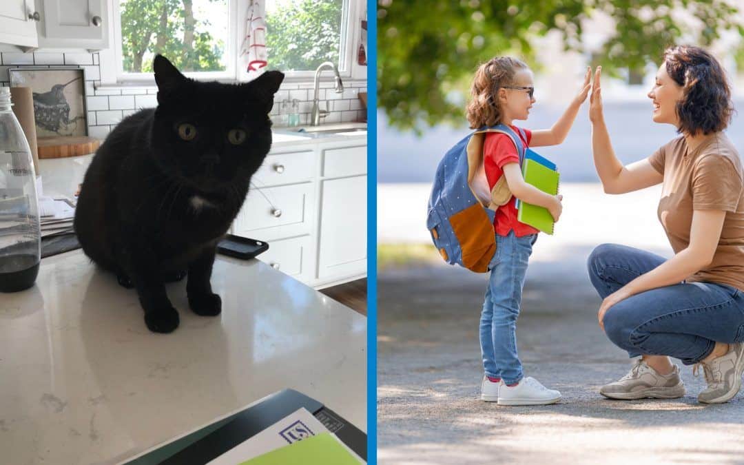 Am I Teaching my Cat to Jump on the Counter? How to Communicate with Children.