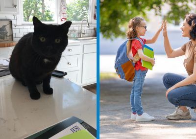 Am I Teaching my Cat to Jump on the Counter? How to Communicate with Children.